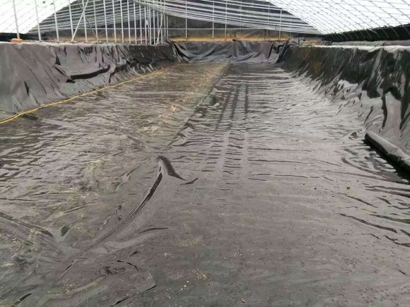 魚(yú)塘防滲膜