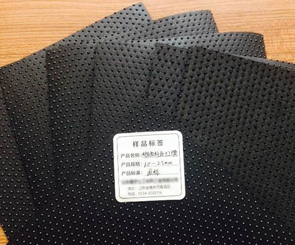 HDPE雙柱點糙面土工膜