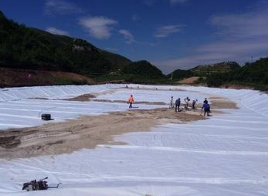 0 (10).png 0 (10).png